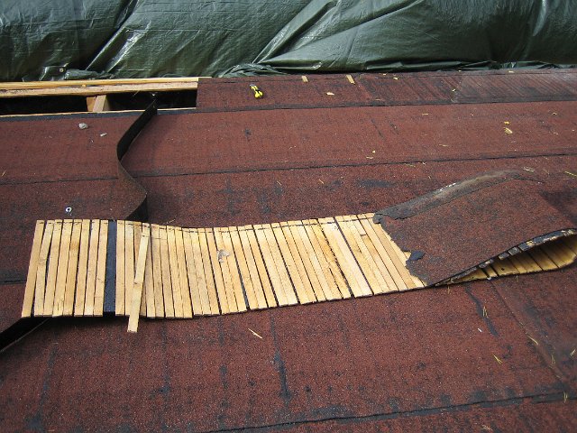 015a.jpg